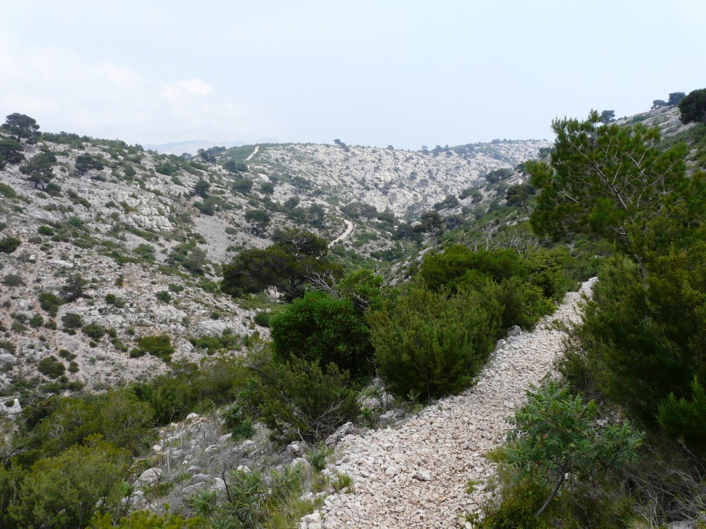 Cassis, 30-05-08, 15-16.jpg